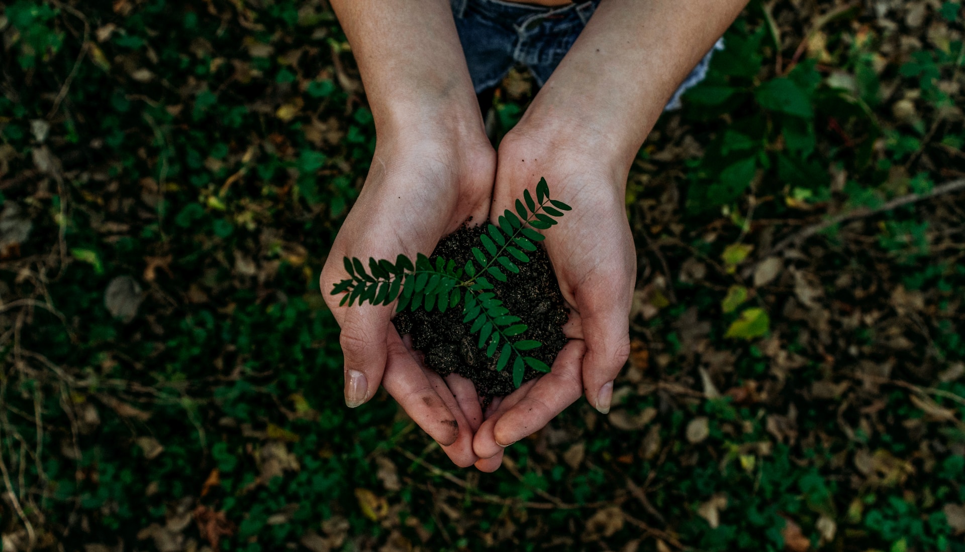 Sustainable Business in Japan